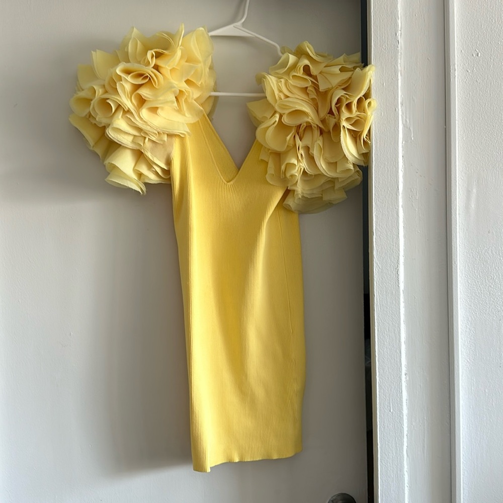 Zara exclusive collection ruffle sleev dress size S